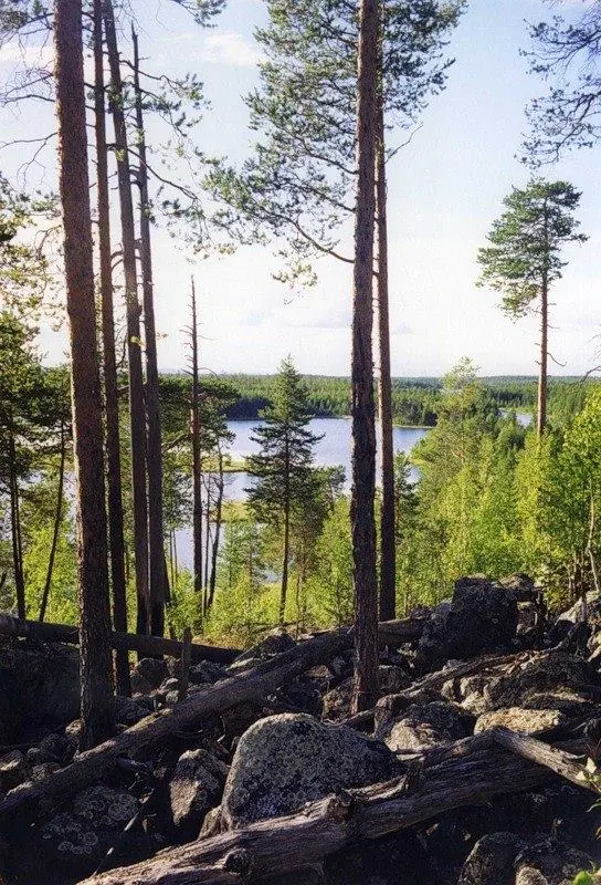 Красоты России: 70+ фото, от которых захватывает дух природа, Россия, пейзажи, путешествия, фото, горы, озера, Карелия, Алтай, Дагестан