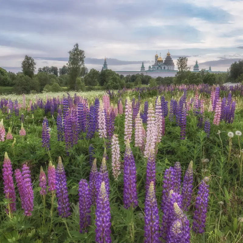 Красоты России: 70+ фото, от которых захватывает дух природа, Россия, пейзажи, путешествия, фото, горы, озера, Карелия, Алтай, Дагестан