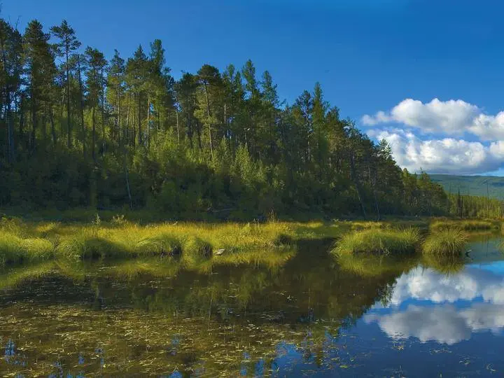 Красоты России: 70+ фото, от которых захватывает дух природа, Россия, пейзажи, путешествия, фото, горы, озера, Карелия, Алтай, Дагестан