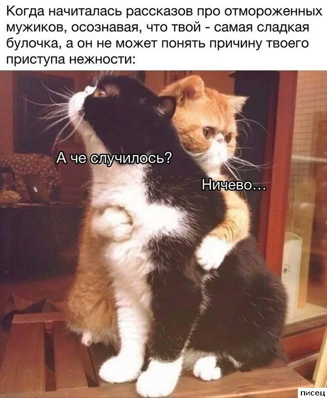 Очередная порция угара: мемы про «Когда...» для поднятия настроения приколы, мемы, когда, смешные картинки, юмор, жизненно