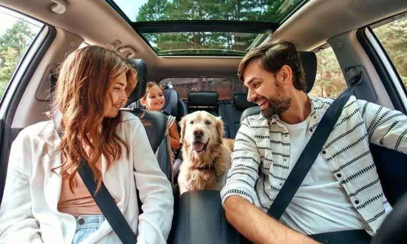 Идеальный семейный выходной: 5 правил от психолога, чтобы все были счастливы