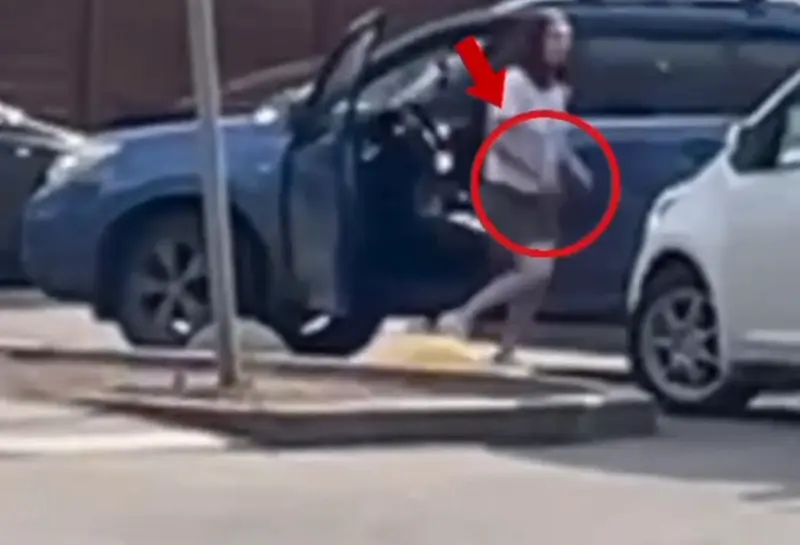 Как предмет, похожий на оружие, решил спор о парковке у зоомагазина