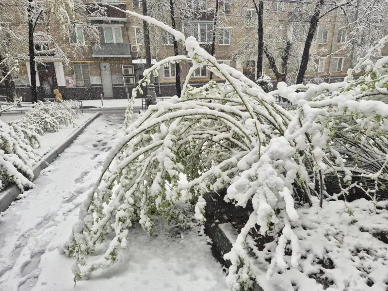 Апрельский снегопад в Москве: город сковали сугробы и хаос на дорогах Москва, снегопад, апрель, стихия, погода, последствия, транспорт, деревья