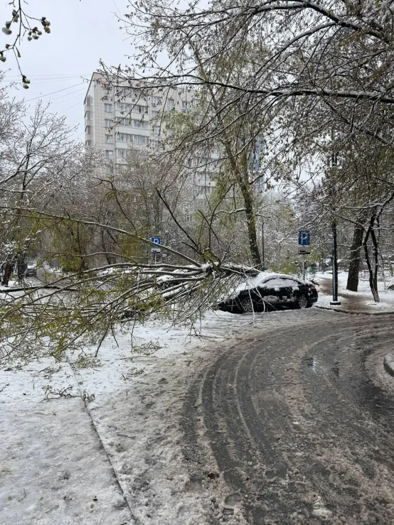 Апрельский снегопад в Москве: город сковали сугробы и хаос на дорогах Москва, снегопад, апрель, стихия, погода, последствия, транспорт, деревья