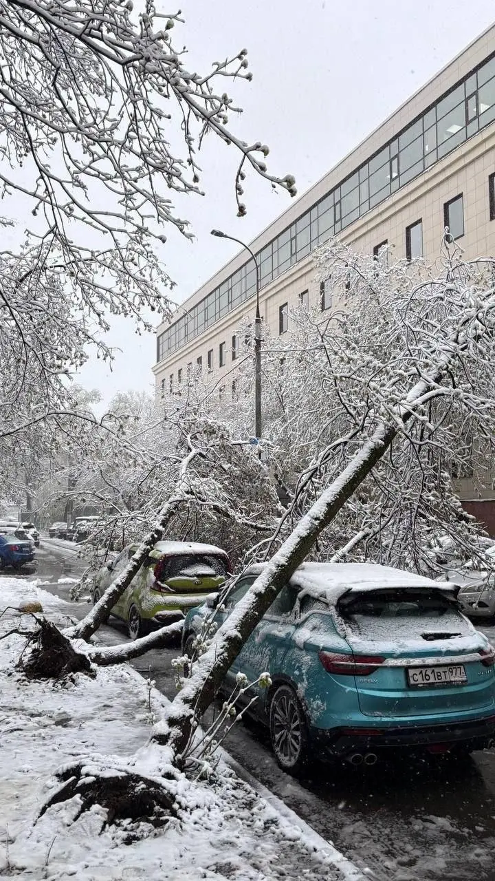 Апрельский снегопад в Москве: город сковали сугробы и хаос на дорогах Москва, снегопад, апрель, стихия, погода, последствия, транспорт, деревья