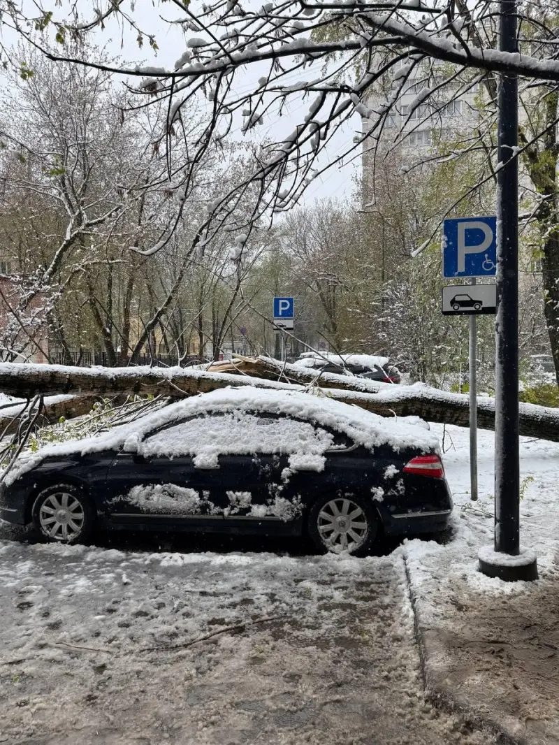 Апрельский снегопад в Москве: город сковали сугробы и хаос на дорогах Москва, снегопад, апрель, стихия, погода, последствия, транспорт, деревья