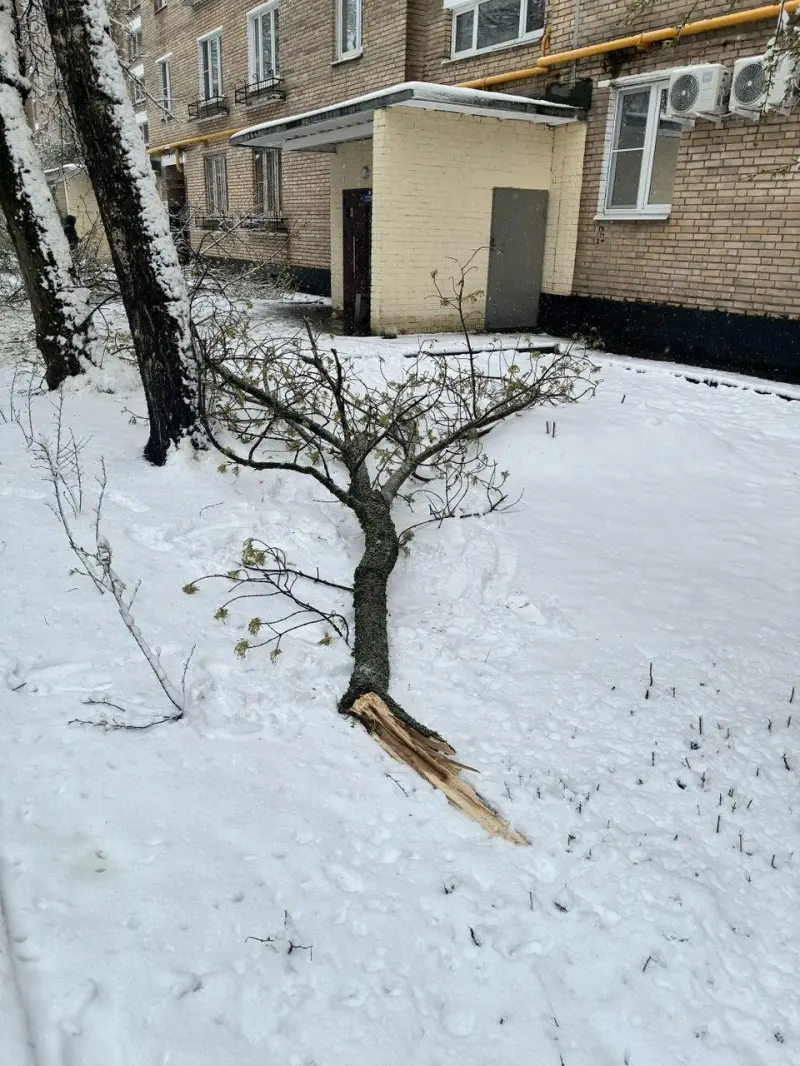 Апрельский снегопад в Москве: город сковали сугробы и хаос на дорогах Москва, снегопад, апрель, стихия, погода, последствия, транспорт, деревья