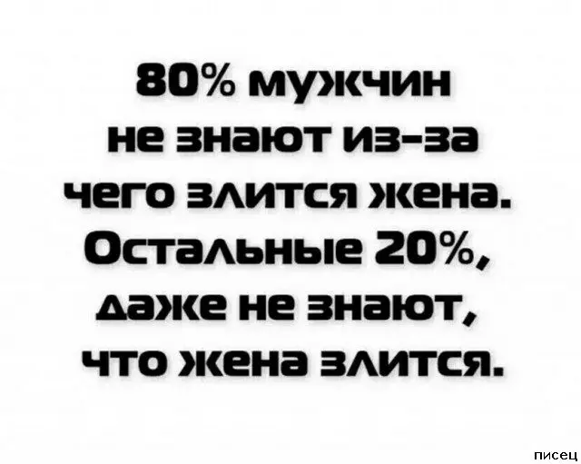 Жизненные цитаты: когда автор залез тебе в голову цитаты, афоризмы, юмор, жизнь, настроение, мысли