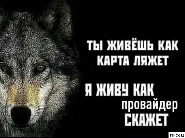 Жизненные цитаты: когда автор залез тебе в голову цитаты, афоризмы, юмор, жизнь, настроение, мысли
