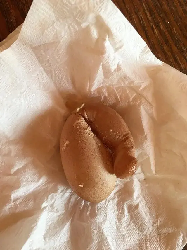 Природа-фантазёрка: 20 снимков яиц, которые выглядят как инопланетные артефакты яйца, необычные яйца, природа, странные формы, подборка, фото, животные, курицы, утки, гуси