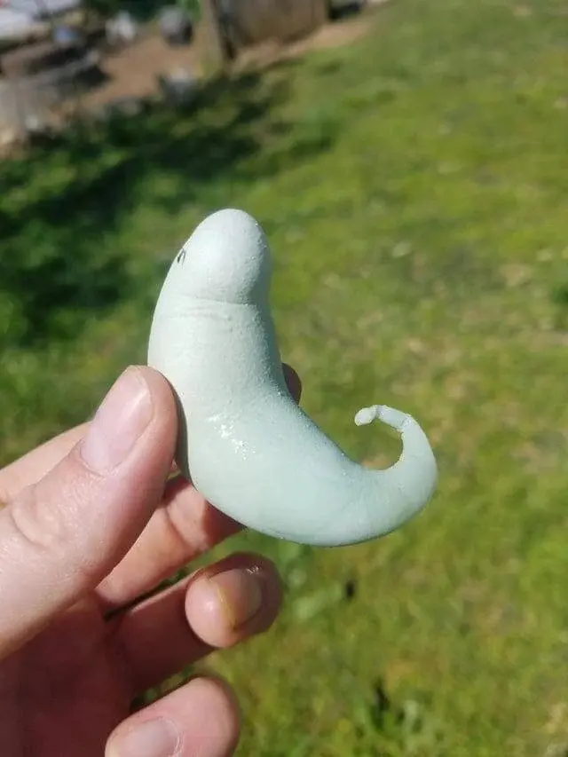 Природа-фантазёрка: 20 снимков яиц, которые выглядят как инопланетные артефакты яйца, необычные яйца, природа, странные формы, подборка, фото, животные, курицы, утки, гуси