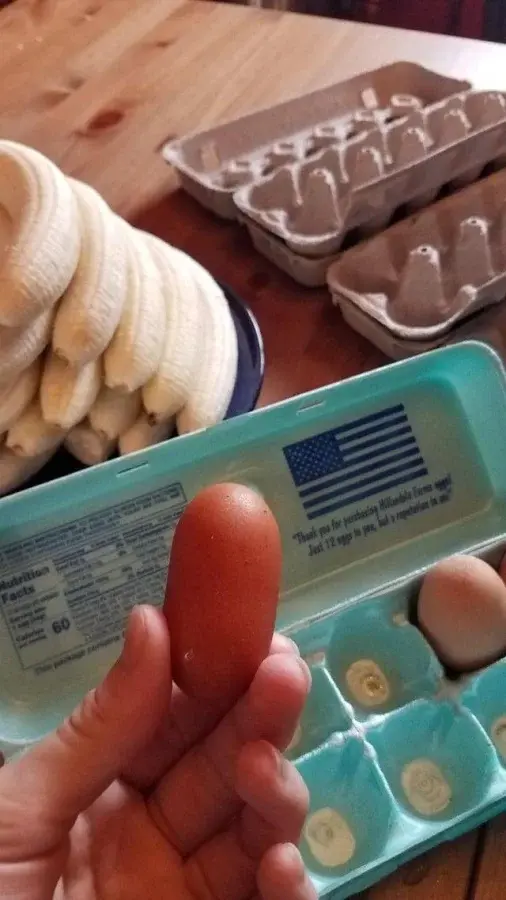 Природа-фантазёрка: 20 снимков яиц, которые выглядят как инопланетные артефакты яйца, необычные яйца, природа, странные формы, подборка, фото, животные, курицы, утки, гуси