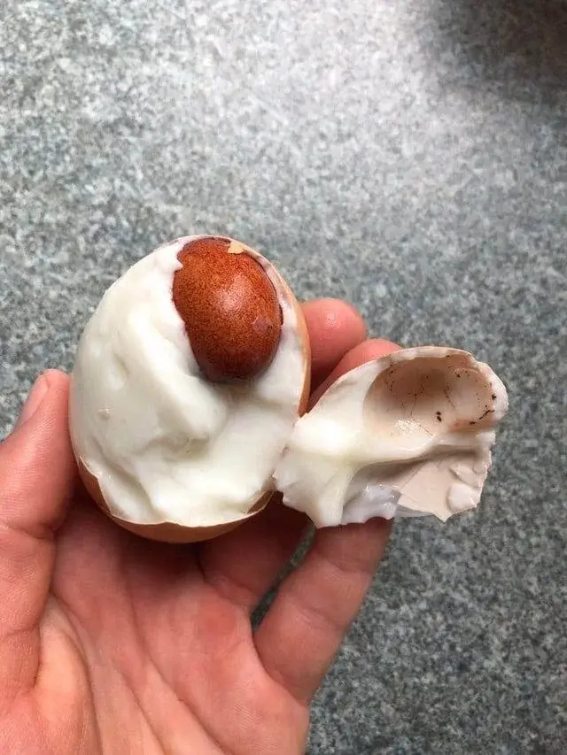 Природа-фантазёрка: 20 снимков яиц, которые выглядят как инопланетные артефакты яйца, необычные яйца, природа, странные формы, подборка, фото, животные, курицы, утки, гуси