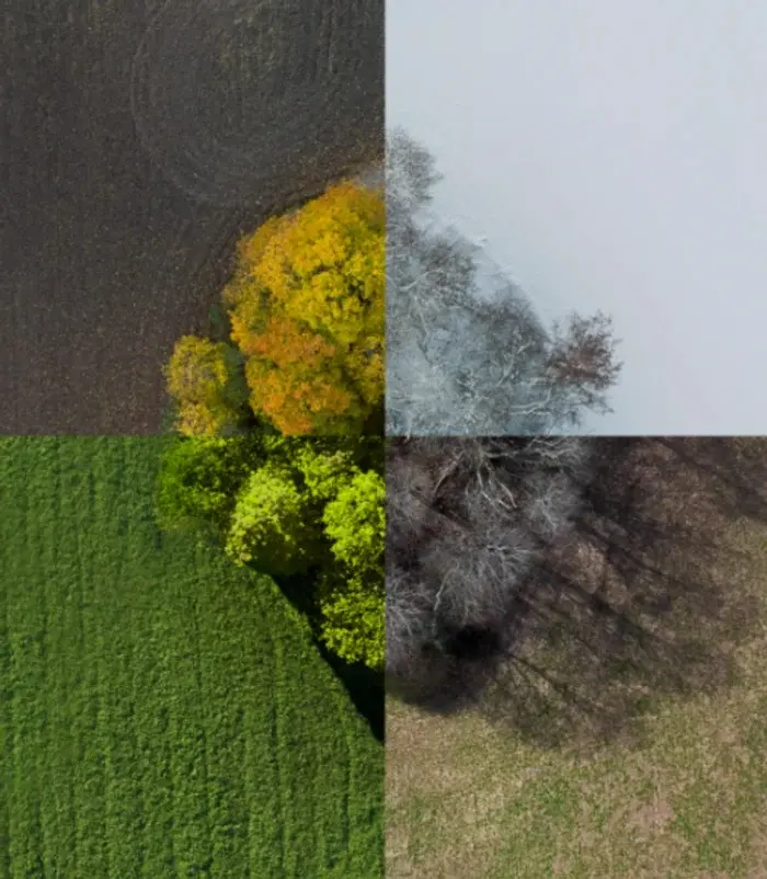 20 фото, которые доказывают: волшебство скрывается в мелочах красота, чудеса, повседневность, фотография, подборка, вдохновение, природа, города, пейзажи