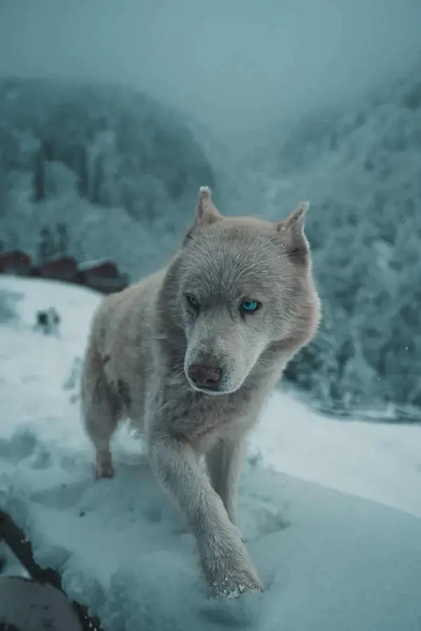 20 фото, которые доказывают: волшебство скрывается в мелочах красота, чудеса, повседневность, фотография, подборка, вдохновение, природа, города, пейзажи