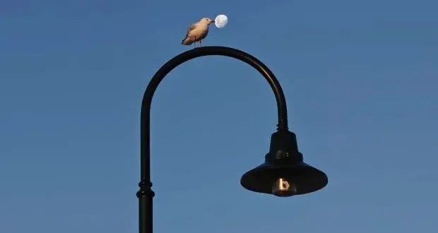 20 фото, которые доказывают: волшебство скрывается в мелочах красота, чудеса, повседневность, фотография, подборка, вдохновение, природа, города, пейзажи