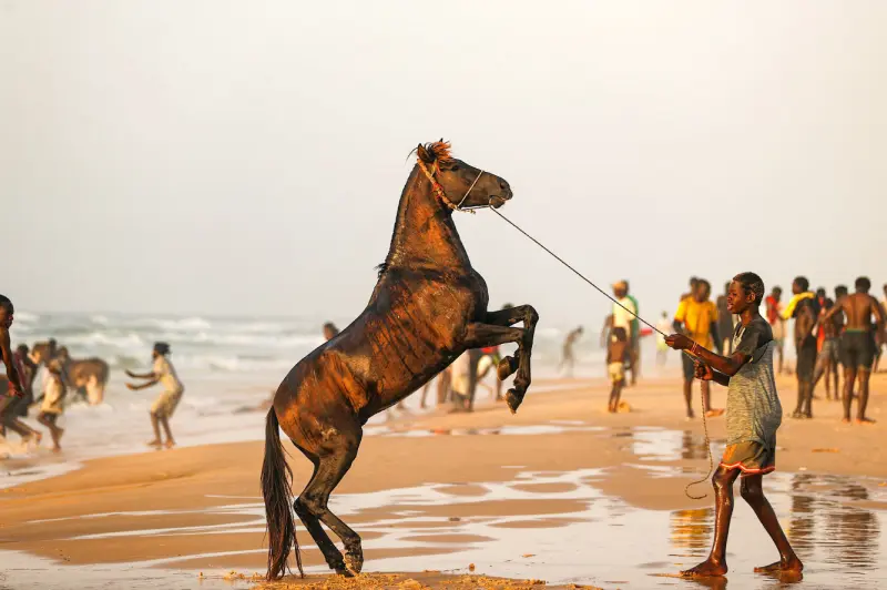 Животные в объективе: 40+ кадров из жизни фауны животные, фото, природа, дикие звери, птицы, млекопитающие, подборка