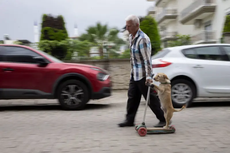 Животные в объективе: 40+ кадров из жизни фауны животные, фото, природа, дикие звери, птицы, млекопитающие, подборка