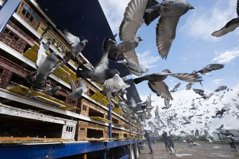 Животные в объективе: 40+ кадров из жизни фауны животные, фото, природа, дикие звери, птицы, млекопитающие, подборка