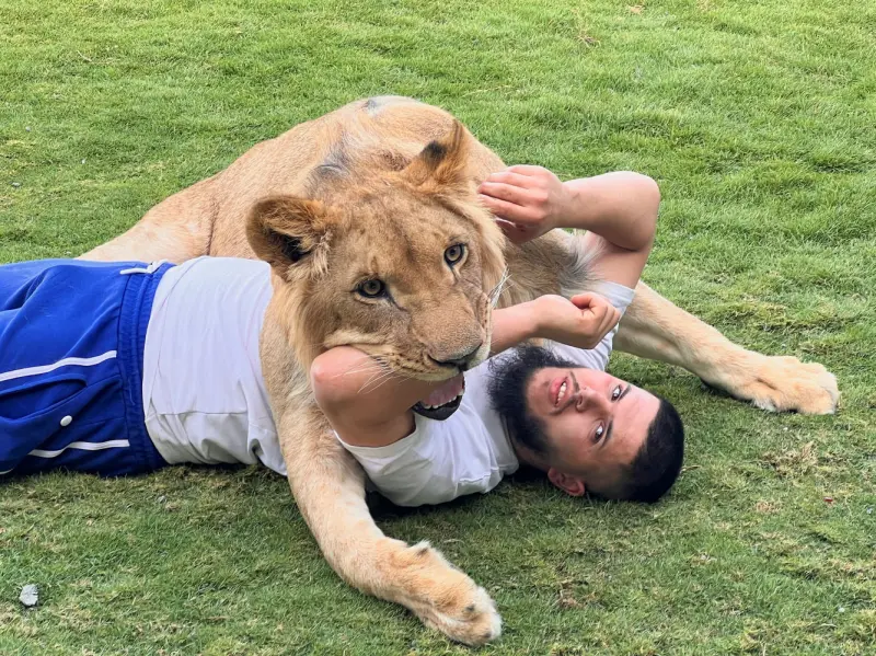 Животные в объективе: 40+ кадров из жизни фауны животные, фото, природа, дикие звери, птицы, млекопитающие, подборка