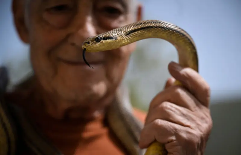 Животные в объективе: 40+ кадров из жизни фауны животные, фото, природа, дикие звери, птицы, млекопитающие, подборка
