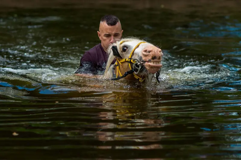 Животные в объективе: 40+ кадров из жизни фауны животные, фото, природа, дикие звери, птицы, млекопитающие, подборка