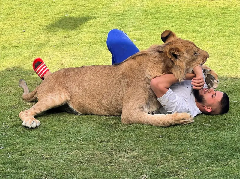 Животные в объективе: 40+ кадров из жизни фауны животные, фото, природа, дикие звери, птицы, млекопитающие, подборка