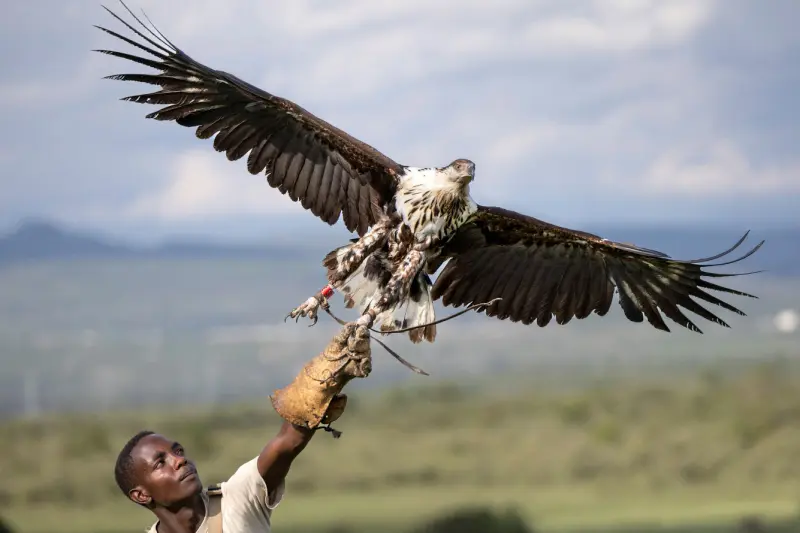 Животные в объективе: 40+ кадров из жизни фауны животные, фото, природа, дикие звери, птицы, млекопитающие, подборка