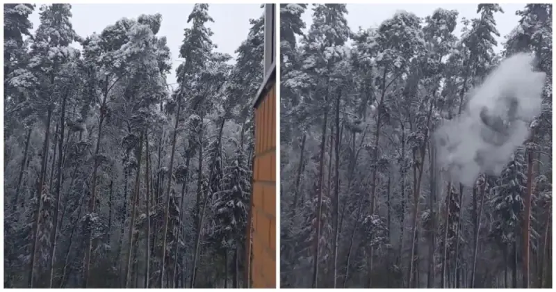 «Как гром среди ясного неба»: дерево приземлилось на авто в Балашихе — кадры с места