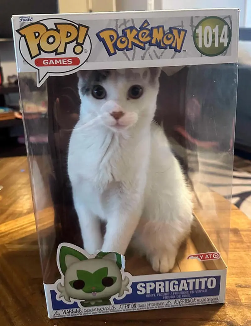 Апрельский улов: 15 фото котов, которые разорвут ваш шаблон смешные коты, фото котов, картинки с котами, подборка, апрель 2026, приколы, животные, мемы, кошатники