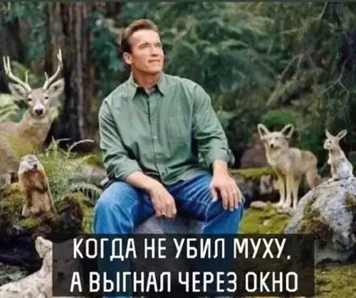 Гигантская порция хохота: лучшие мемы этой недели мемы, приколы, картинки, смешное, юмор, позитив, настроение