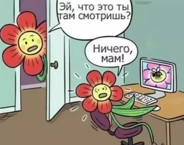 Гигантская порция хохота: лучшие мемы этой недели мемы, приколы, картинки, смешное, юмор, позитив, настроение