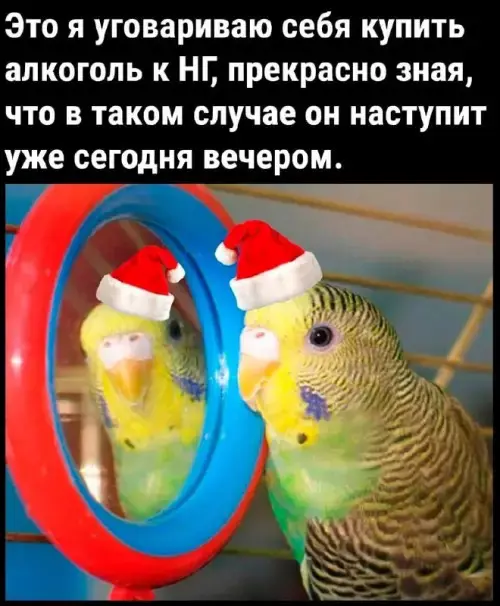 Гигантская порция хохота: лучшие мемы этой недели мемы, приколы, картинки, смешное, юмор, позитив, настроение