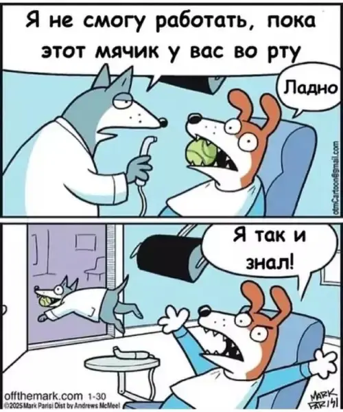 Гигантская порция хохота: лучшие мемы этой недели мемы, приколы, картинки, смешное, юмор, позитив, настроение