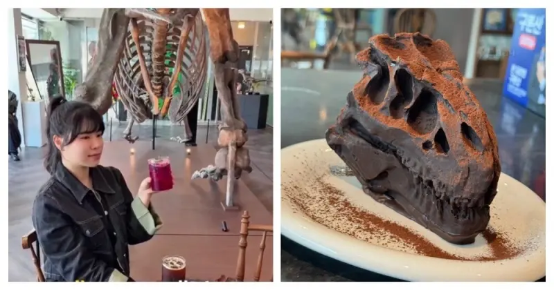 Кафе с динозавром: скелет тираннозавра и десерт «тиранномису» в меню