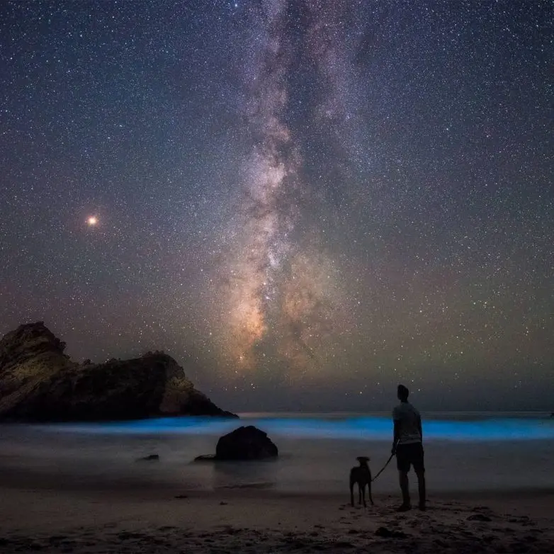 Как выглядят звезды, если уехать подальше от города: 14 кадров от фотографа-самоучки астрофотография, звезды, ночное небо, пейзажи, фотограф, Джек Фуско, космос, природа