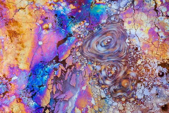 20 кадров, где природа обошлась без фотошопа фотография, природа, конкурс, GDT, животные, пейзажи, птицы, млекопитающие