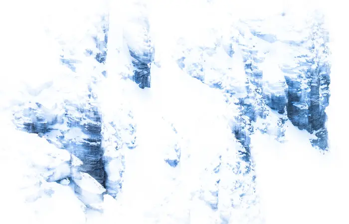 20 кадров, где природа обошлась без фотошопа фотография, природа, конкурс, GDT, животные, пейзажи, птицы, млекопитающие