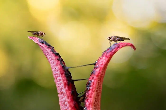 20 кадров, где природа обошлась без фотошопа фотография, природа, конкурс, GDT, животные, пейзажи, птицы, млекопитающие