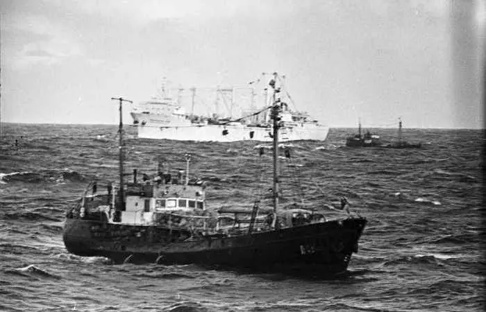 Рыба в СССР: цены, доступность и сравнение с современной Россией СССР, рыба, цены, потребление, сравнение, Россия, морепродукты, история