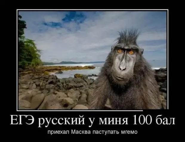Осенние поганки и спецзадания в магазине: угарная подборка анекдоты, юмор, приколы, жизненные истории, отношения, муж и жена, смешное, домохозяйка, велосипедист, асфальт