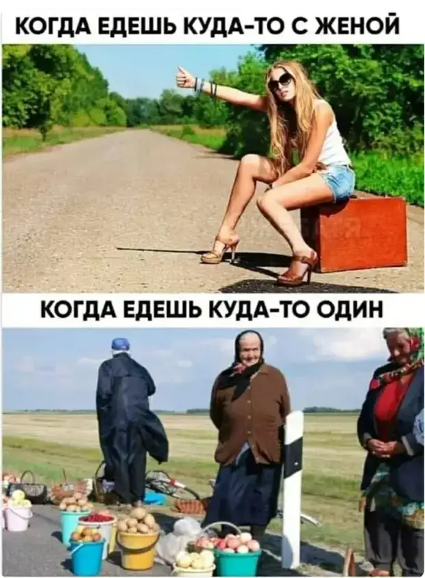 Осенние поганки и спецзадания в магазине: угарная подборка анекдоты, юмор, приколы, жизненные истории, отношения, муж и жена, смешное, домохозяйка, велосипедист, асфальт