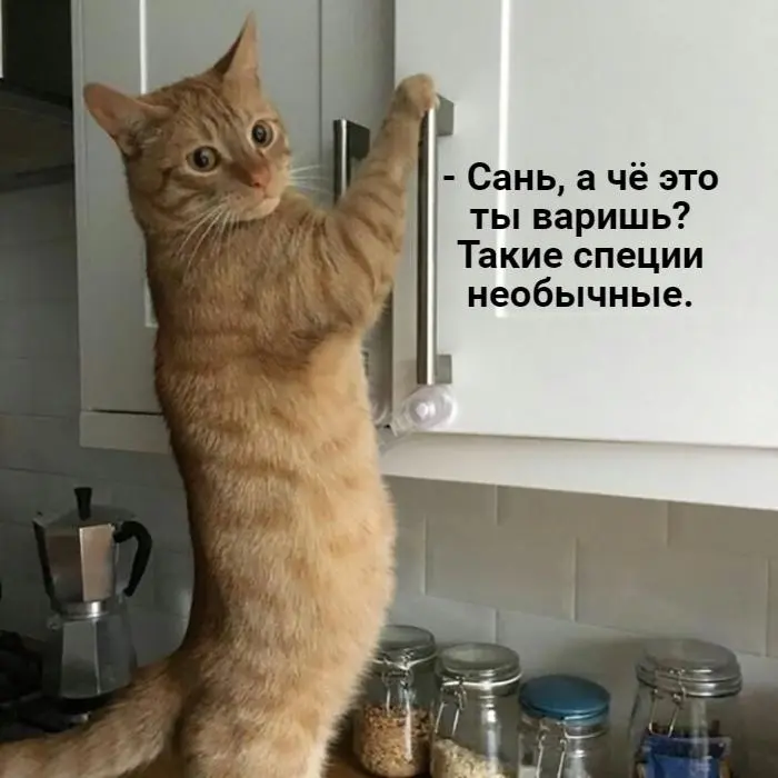 Лучшие мемы апреля 2026: отборный юмор и тренды месяца