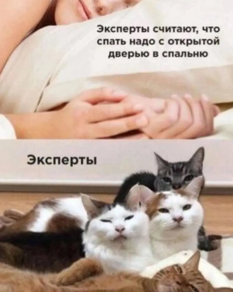 Лучшие мемы апреля 2026: отборный юмор и тренды месяца мемы, приколы, картинки, апрель 2026, юмор, тренды, соцсети, подборка