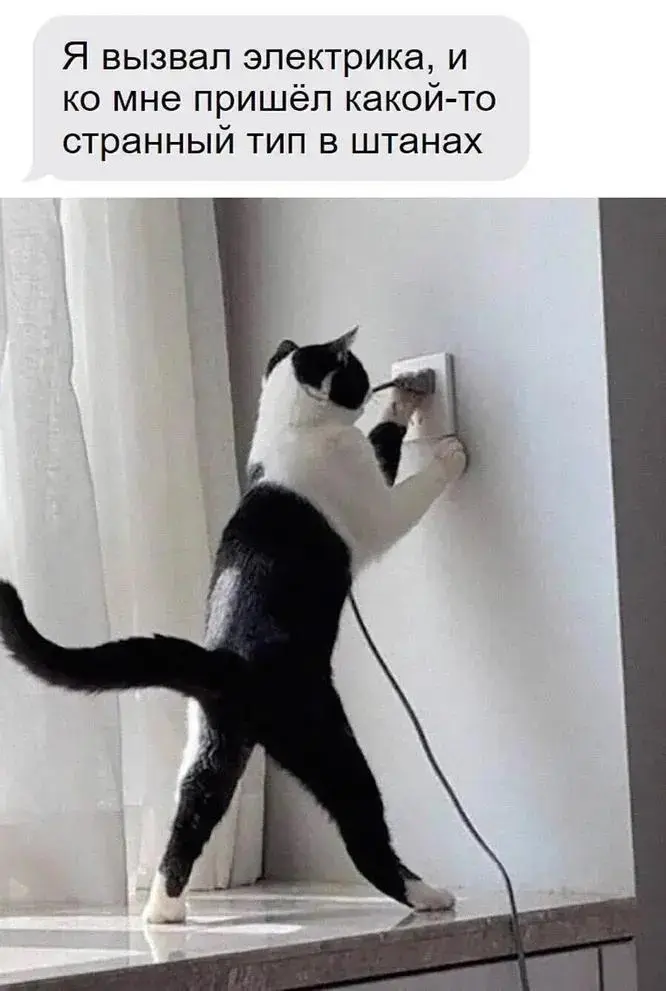 Лучшие мемы апреля 2026: отборный юмор и тренды месяца мемы, приколы, картинки, апрель 2026, юмор, тренды, соцсети, подборка