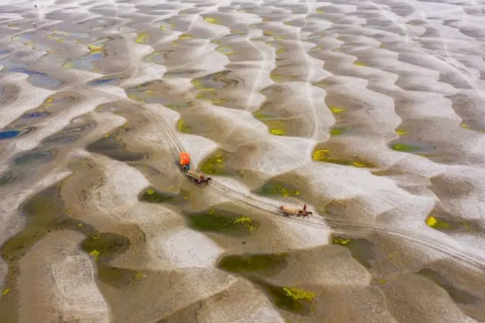 Среда — маленькая пятница: убойные приколы для поднятия настроения приколы, мемы, юмор, среда, подборка, картинки, настроение