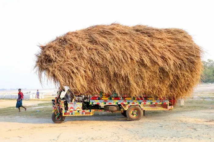 Среда — маленькая пятница: убойные приколы для поднятия настроения приколы, мемы, юмор, среда, подборка, картинки, настроение