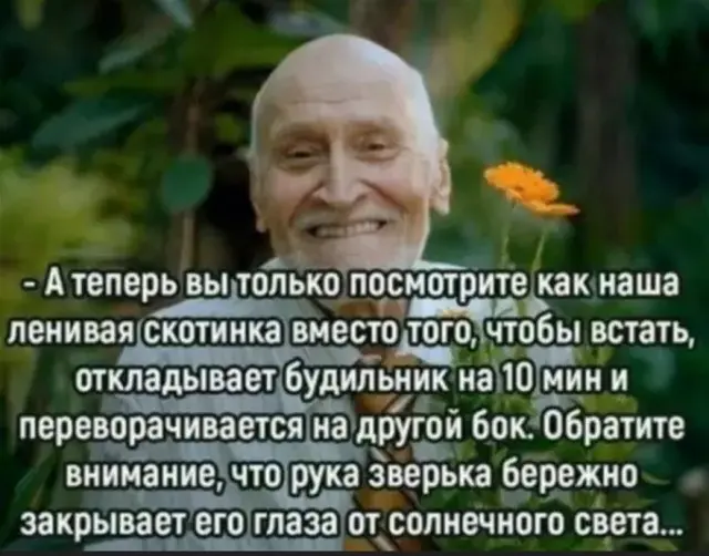 Свежая порция мемов и приколов для отличного настроения мемы, приколы, картинки, юмор, подборка, смех, настроение, веселье