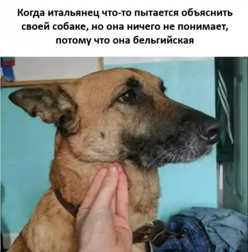 Свежая порция мемов и приколов для отличного настроения мемы, приколы, картинки, юмор, подборка, смех, настроение, веселье