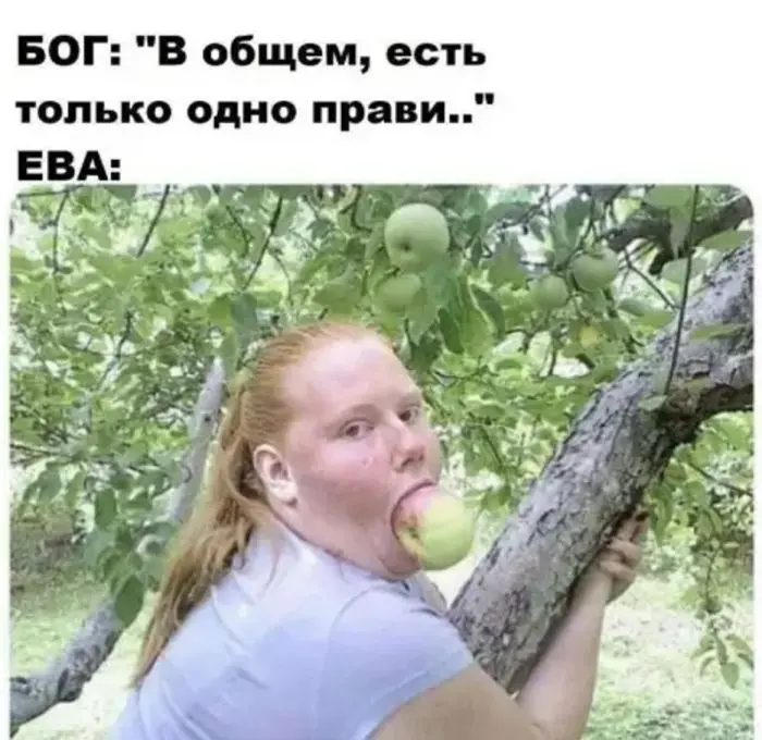 Свежая порция мемов и приколов для отличного настроения мемы, приколы, картинки, юмор, подборка, смех, настроение, веселье